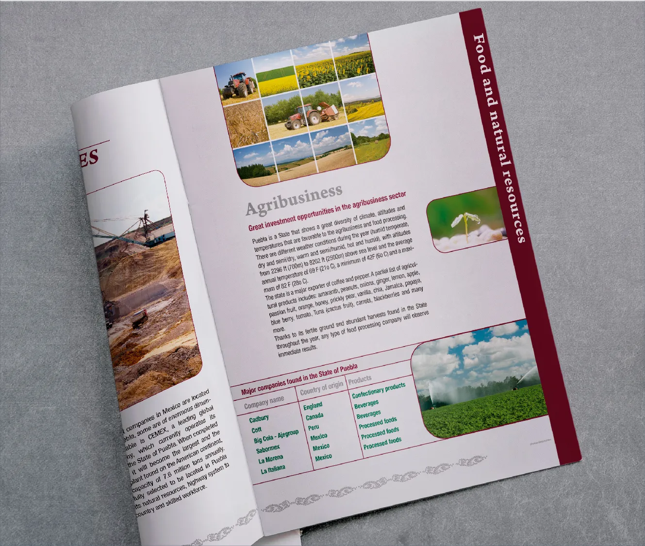 Una descripción de mi imagen.